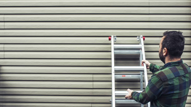 Best Hoarding Cleanup  in Lakeview, MI